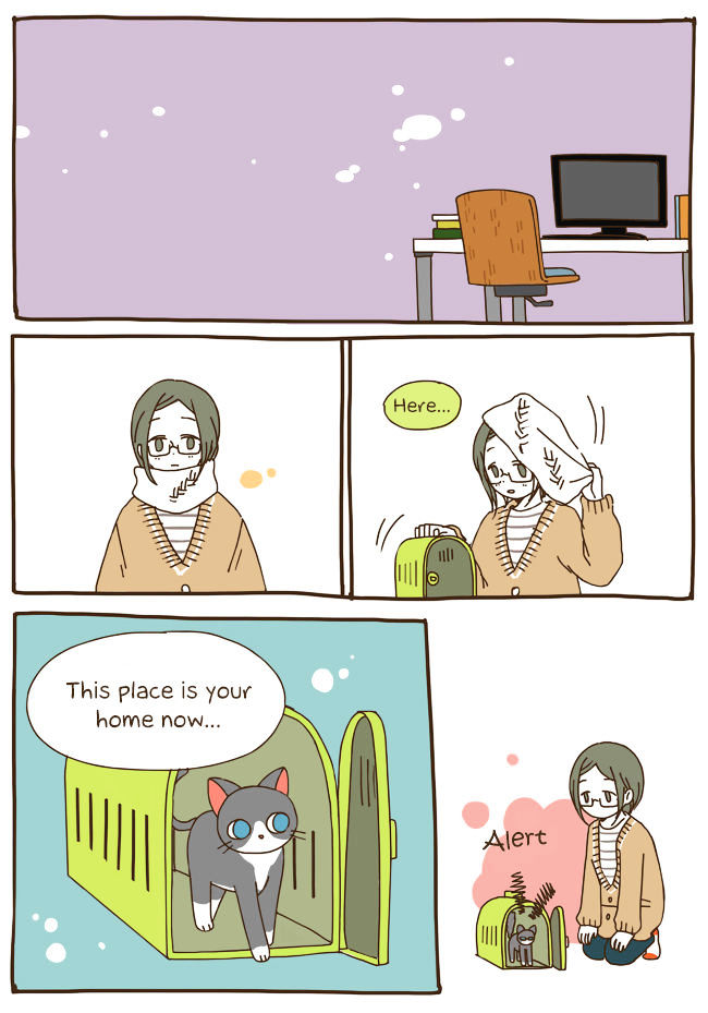 Story of Someone We Know Chapter 32 page 11 - Chapter 32 : Another Hoobae I Know