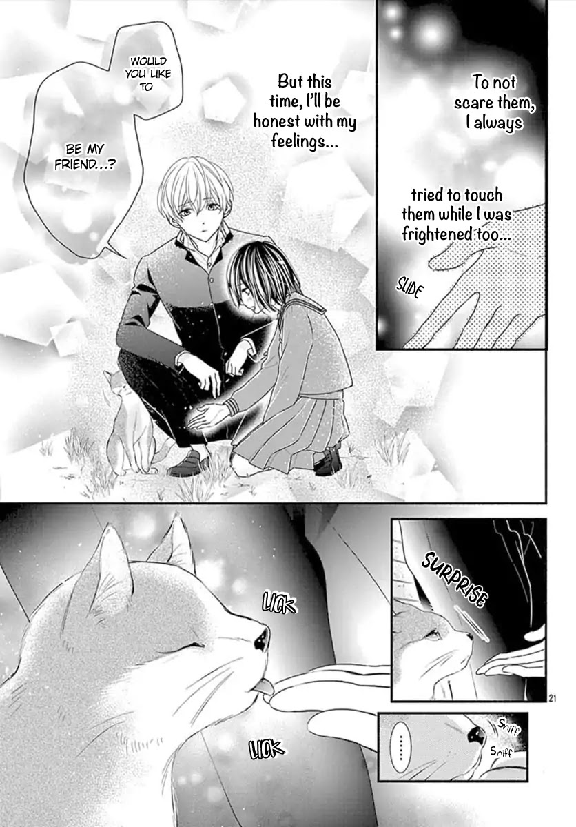 Stray Cat and the Sunny Spot Chapter 0 page 23 - Chapter 0: Oneshot