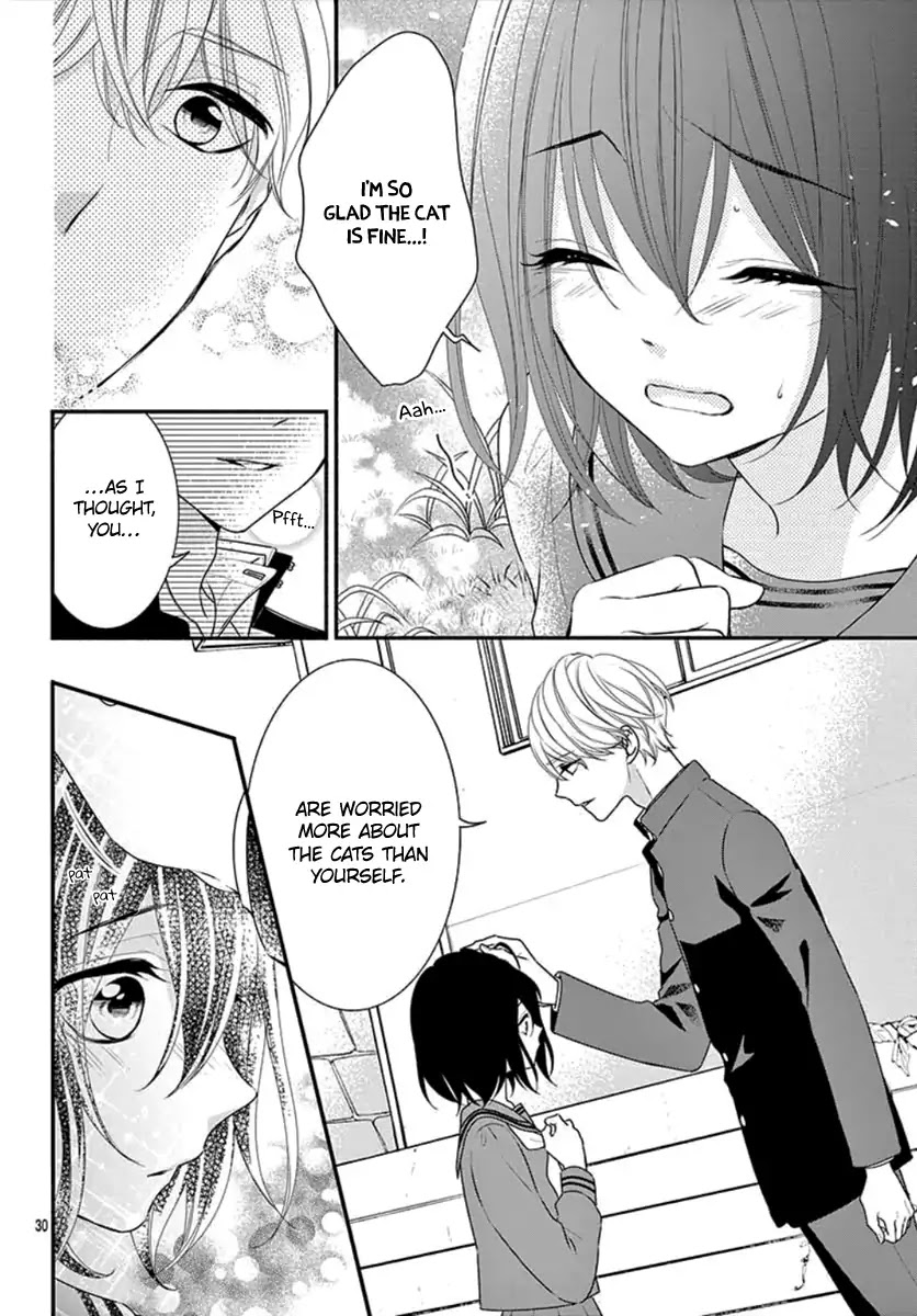 Stray Cat and the Sunny Spot Chapter 0 page 32 - Chapter 0: Oneshot