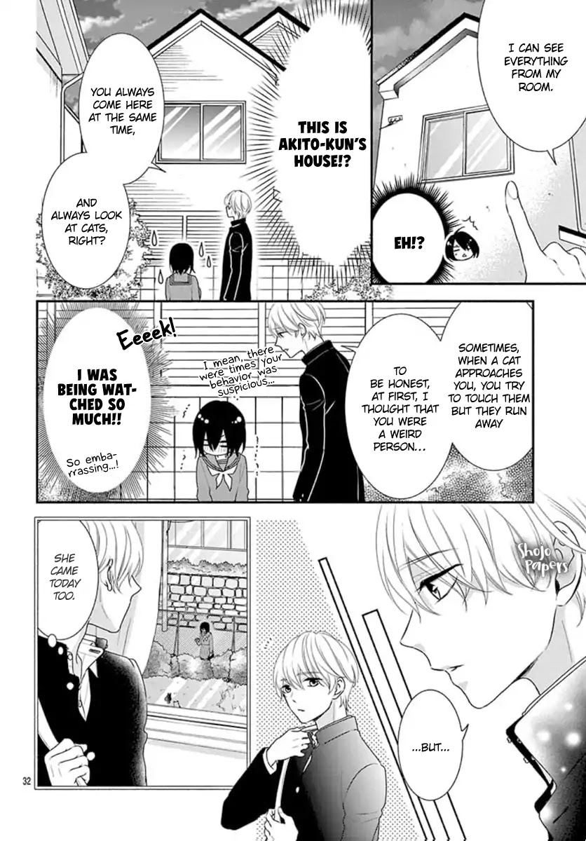 Stray Cat and the Sunny Spot Chapter 0 page 34 - Chapter 0: Oneshot