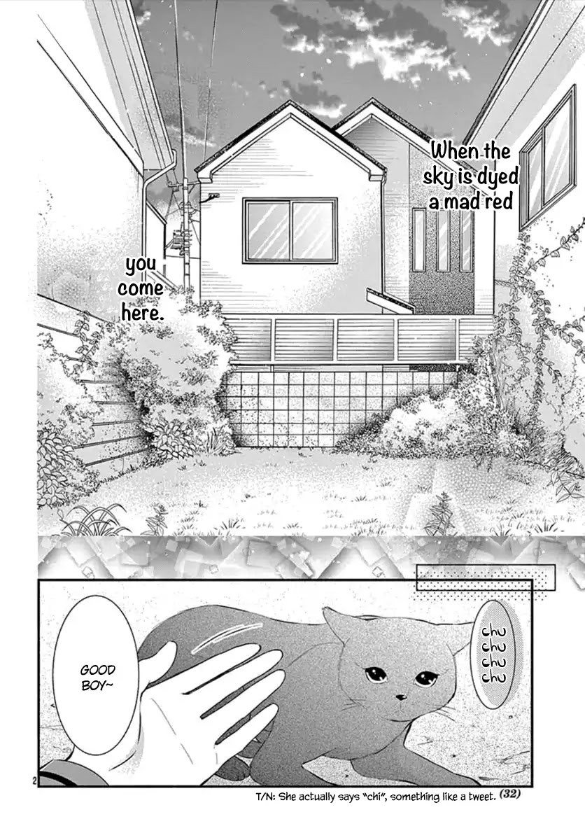 Stray Cat and the Sunny Spot Chapter 0 page 4 - Chapter 0: Oneshot