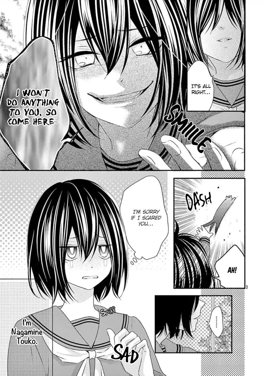 Stray Cat and the Sunny Spot Chapter 0 page 5 - Chapter 0: Oneshot