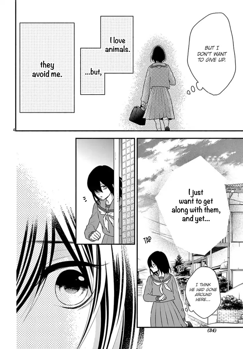 Stray Cat and the Sunny Spot Chapter 0 page 6 - Chapter 0: Oneshot