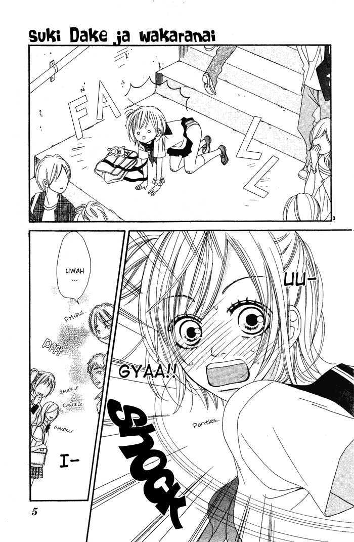 Suki dake ja Wakaranai Chapter 0 page 5 - Chapter 0 : Oneshot