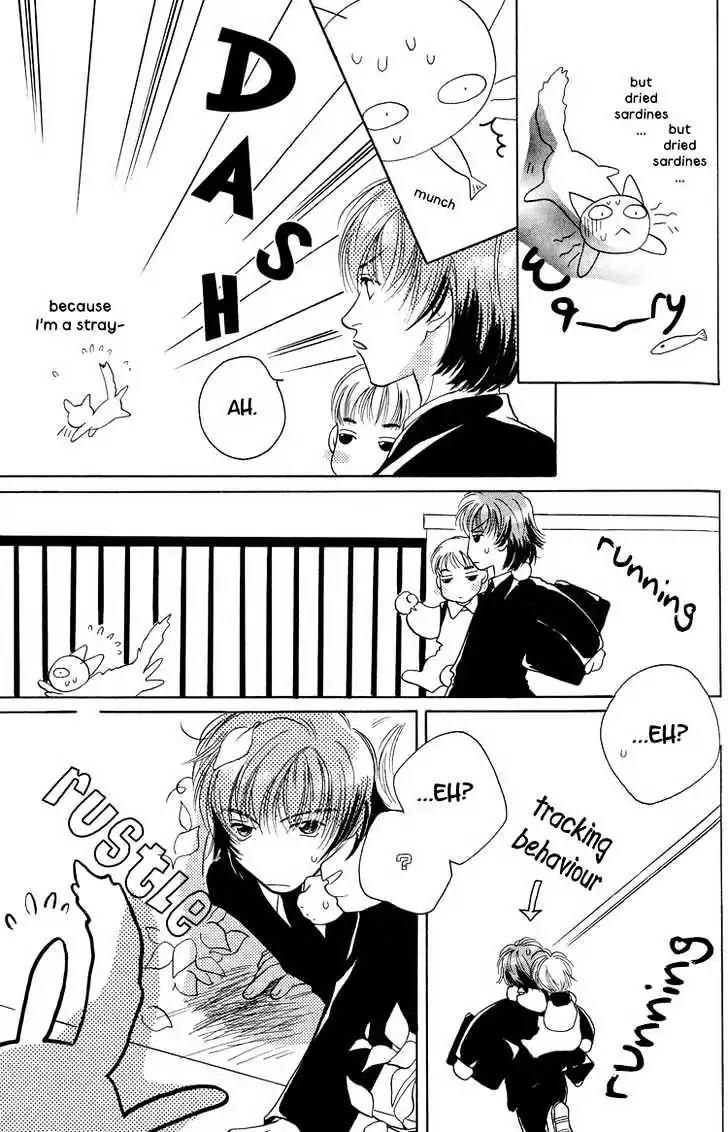 Sukijanai kedo Aishiteru Chapter 7 page 21 - Chapter 7