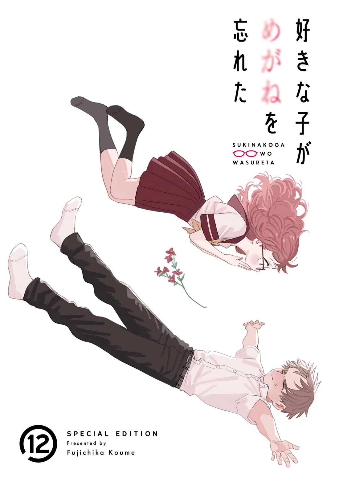 Sukinako ga Megane wo Wasureta Chapter 110.5 page 10 - Chapter 110.5: Volume 12 Extras