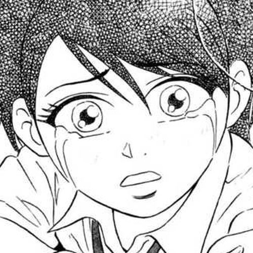 Sumire 16 Sai!! Chapter 27: The Butterfly that doesn't stop by flowers cover