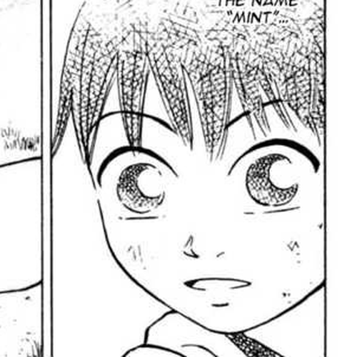 Sumire 16 Sai!! Chapter 31: The Boy and the Cat cover