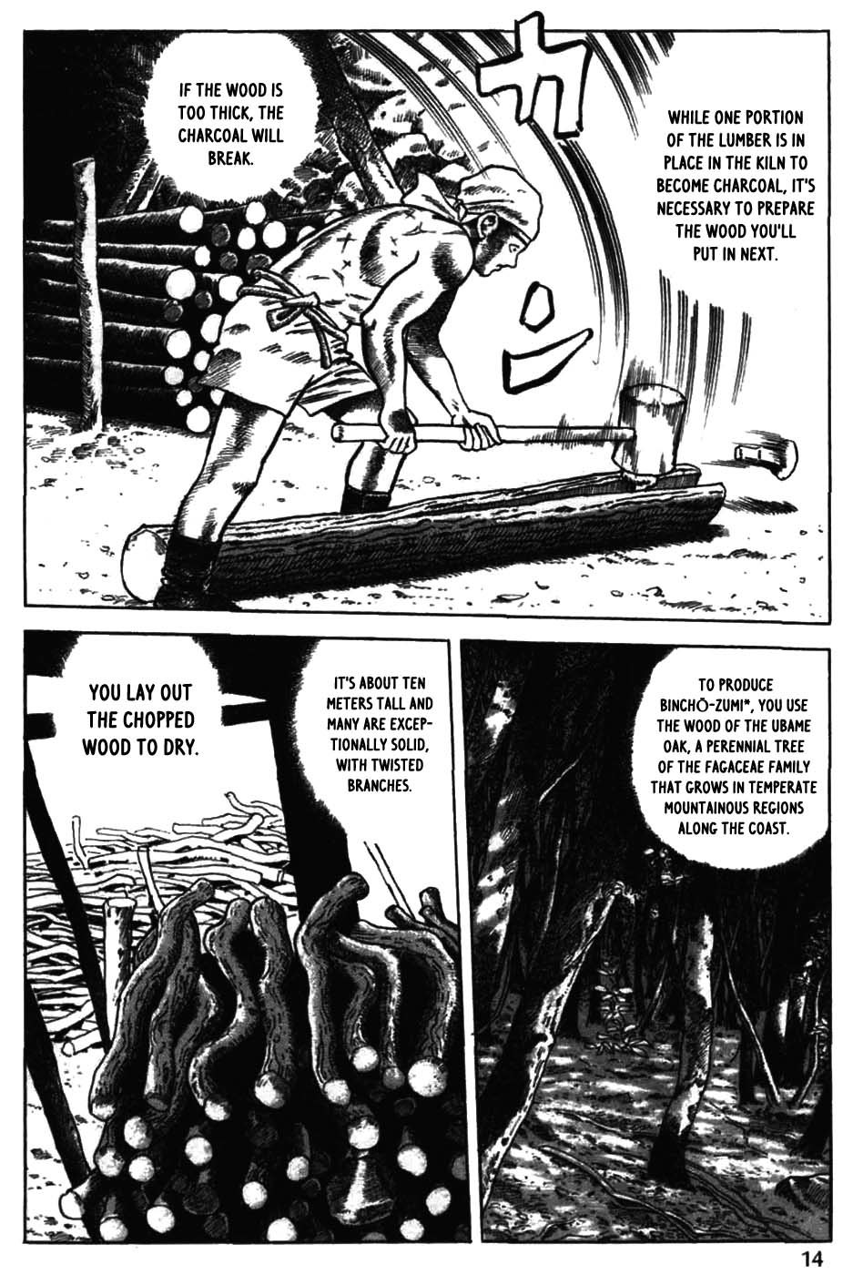 Sumiyaki Monogatari Chapter 1 page 19 - Chapter 1: Chopping Trees