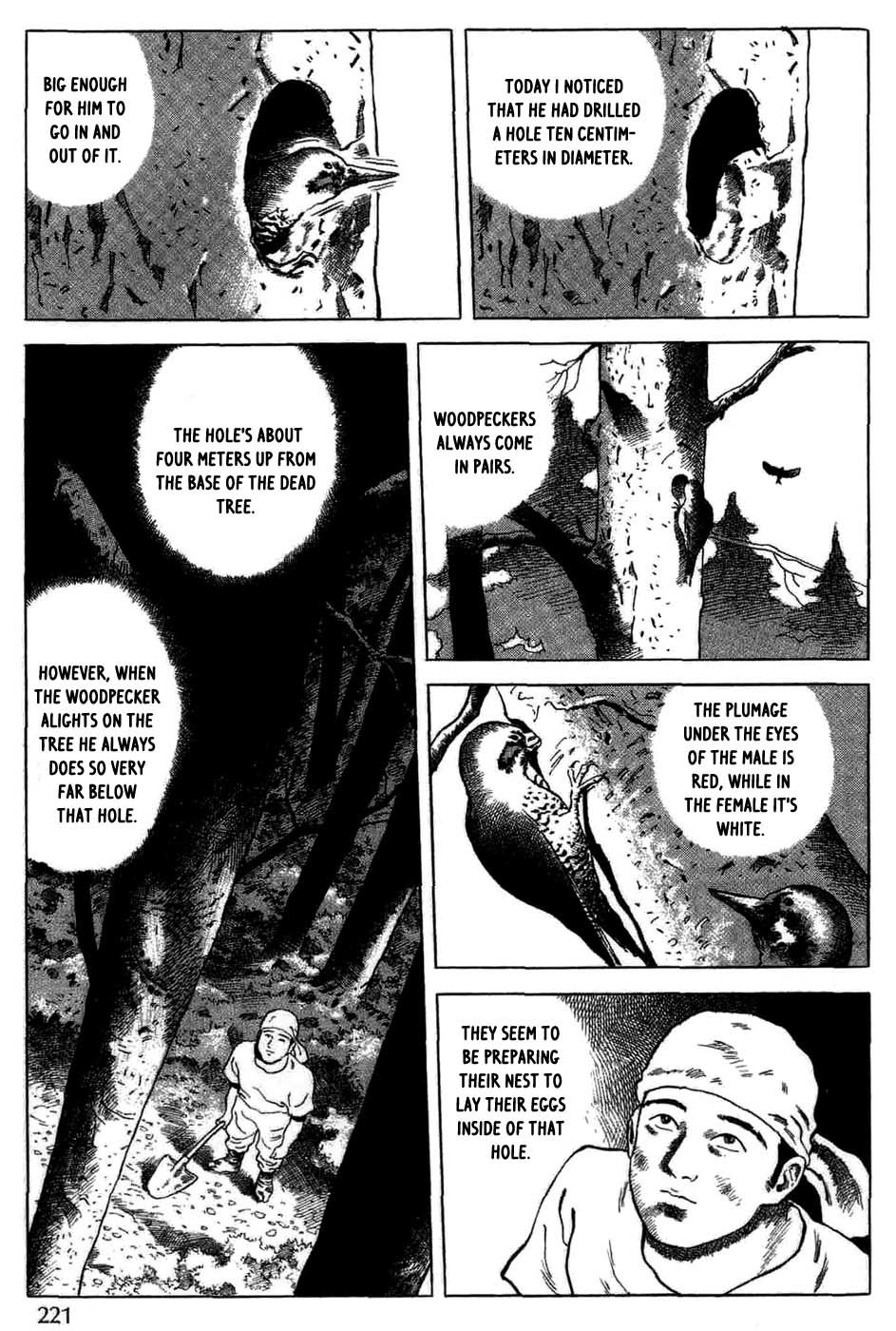 Sumiyaki Monogatari Chapter 11 page 5 - Chapter 11: The Woodpecker and How You Build a Kiln [END]