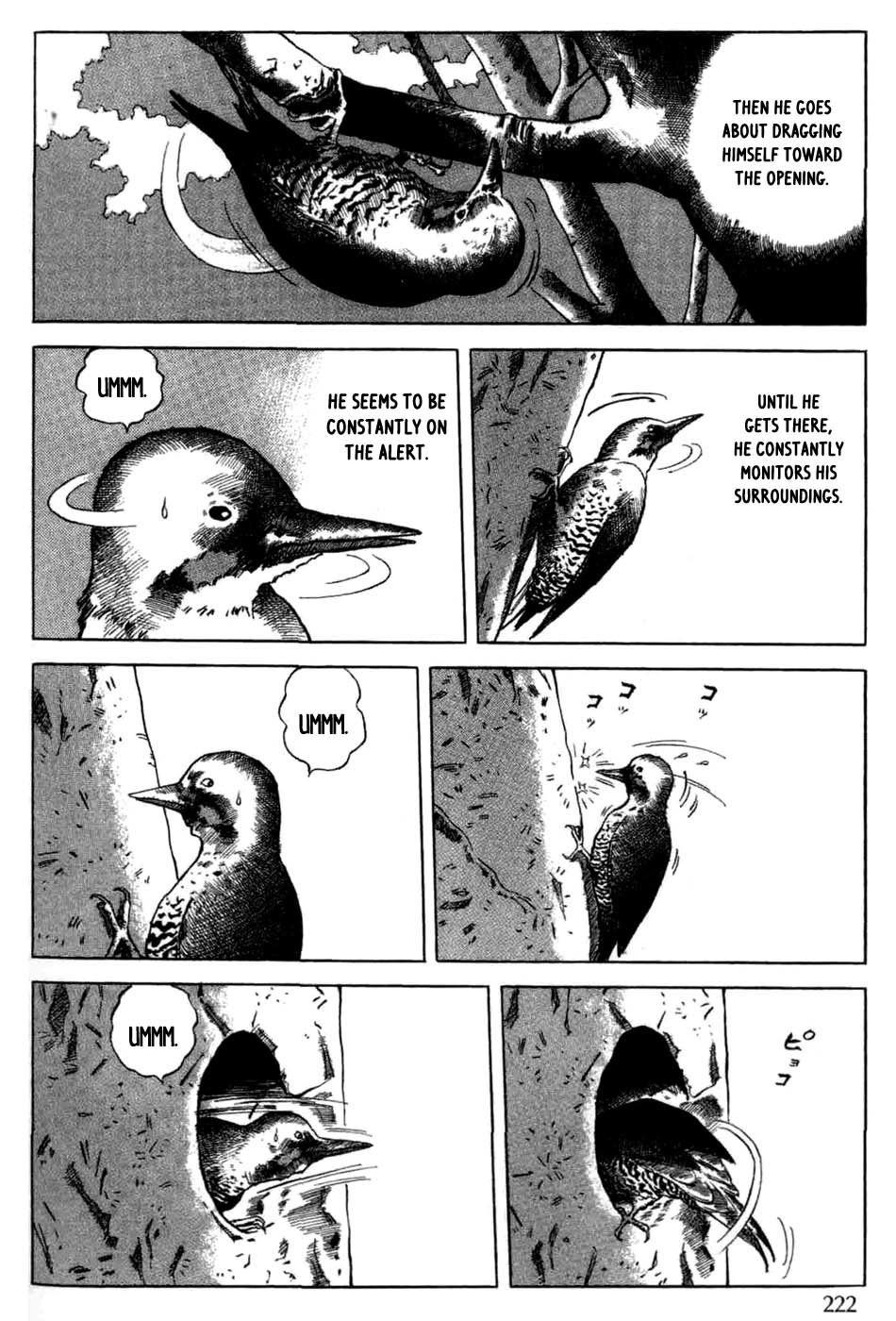 Sumiyaki Monogatari Chapter 11 page 6 - Chapter 11: The Woodpecker and How You Build a Kiln [END]