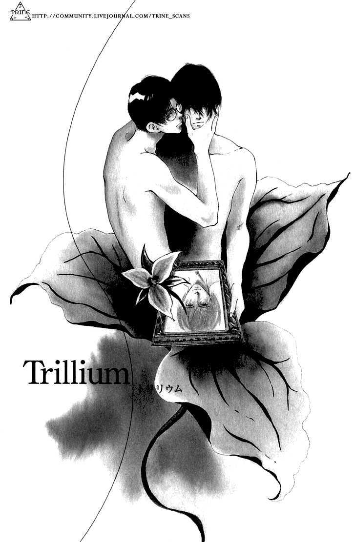 Suna no Shita no Suimyaku Chapter 3 page 2 - Chapter 3 : Trillium
