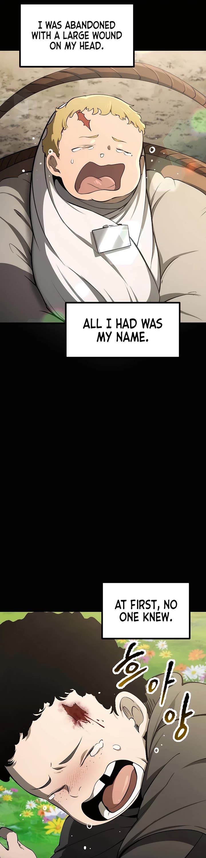 Survival Story of a Sword King in a Fantasy World Chapter 241 page 10 - Chapter 241