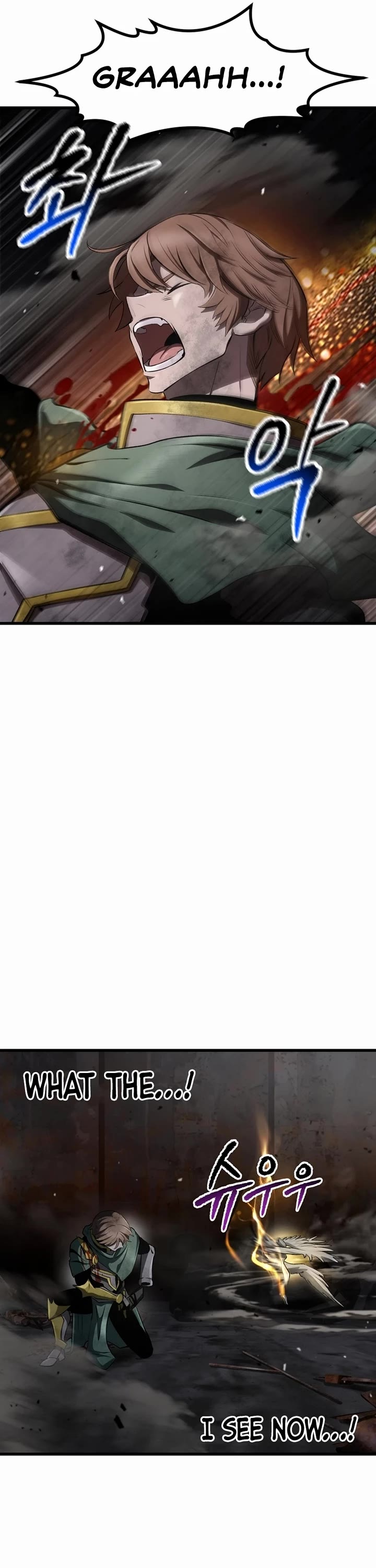 Survival Story of a Sword King in a Fantasy World Chapter 246 page 38 - Chapter 246