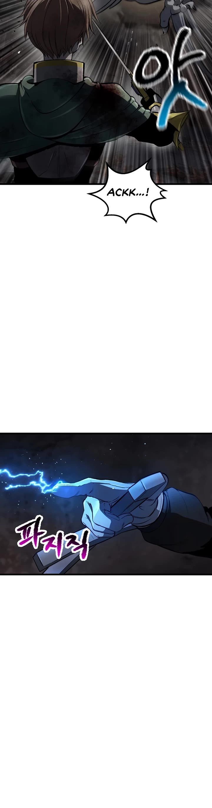 Survival Story of a Sword King in a Fantasy World Chapter 249 page 14 - Chapter 249