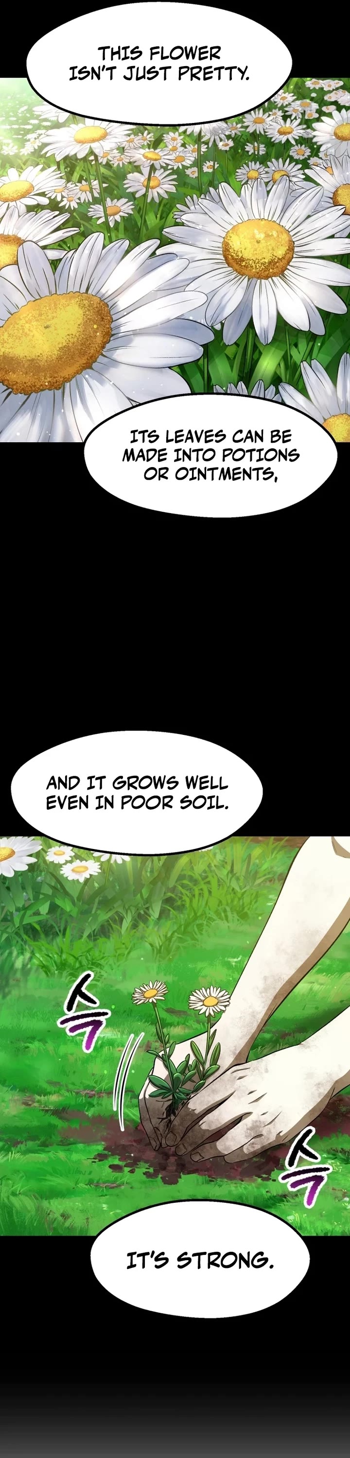 Survival Story of a Sword King in a Fantasy World Chapter 266 page 13 - Chapter 266