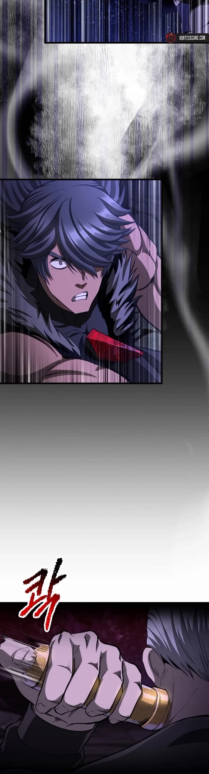 Survival Story of a Sword King in a Fantasy World Chapter 266 page 4 - Chapter 266