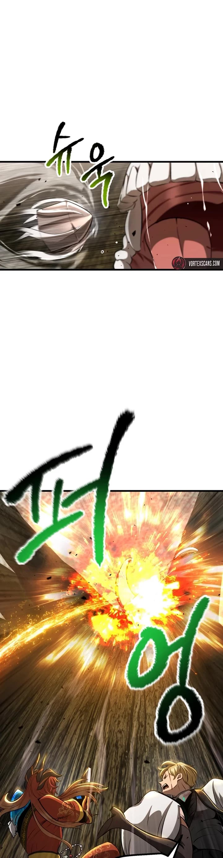 Survival Story of a Sword King in a Fantasy World Chapter 272 page 30 - Chapter 272