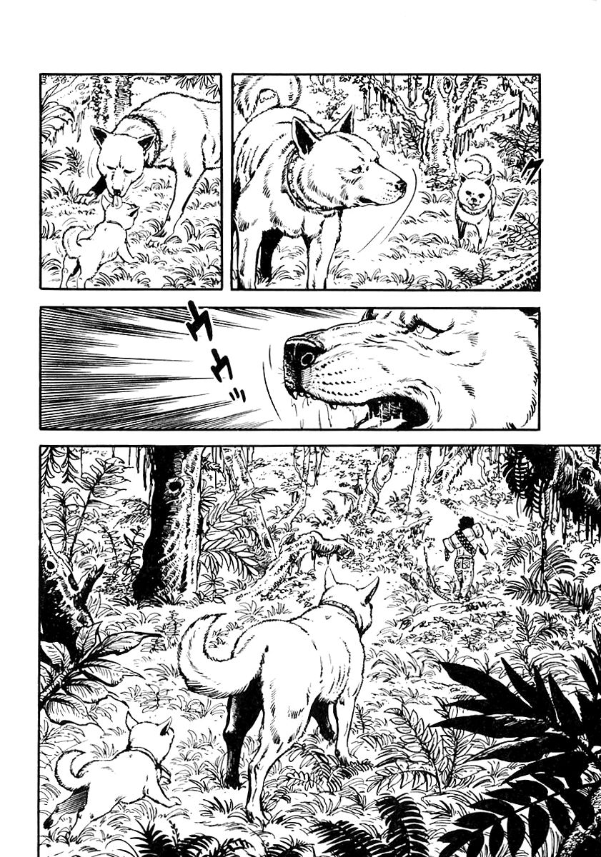 Survival Chapter 42 page 41 - Chapter 42 : Danger 1