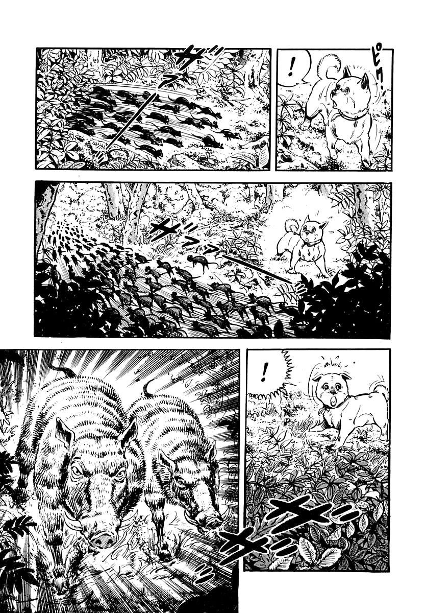 Survival Chapter 65 page 17 - Chapter 65 : Danger 1