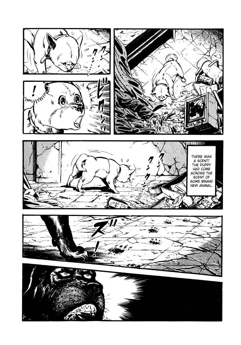 Survival Chapter 65 page 32 - Chapter 65 : Danger 1