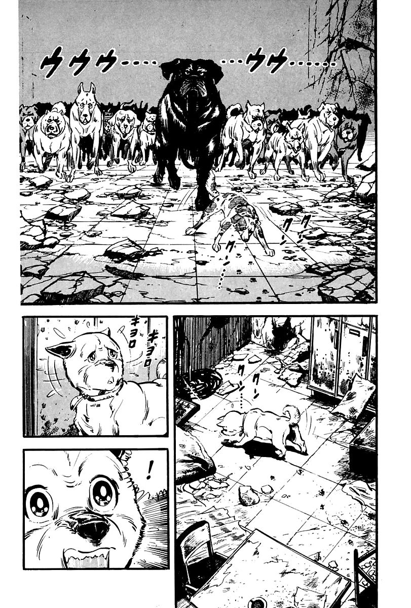 Survival Chapter 65 page 33 - Chapter 65 : Danger 1