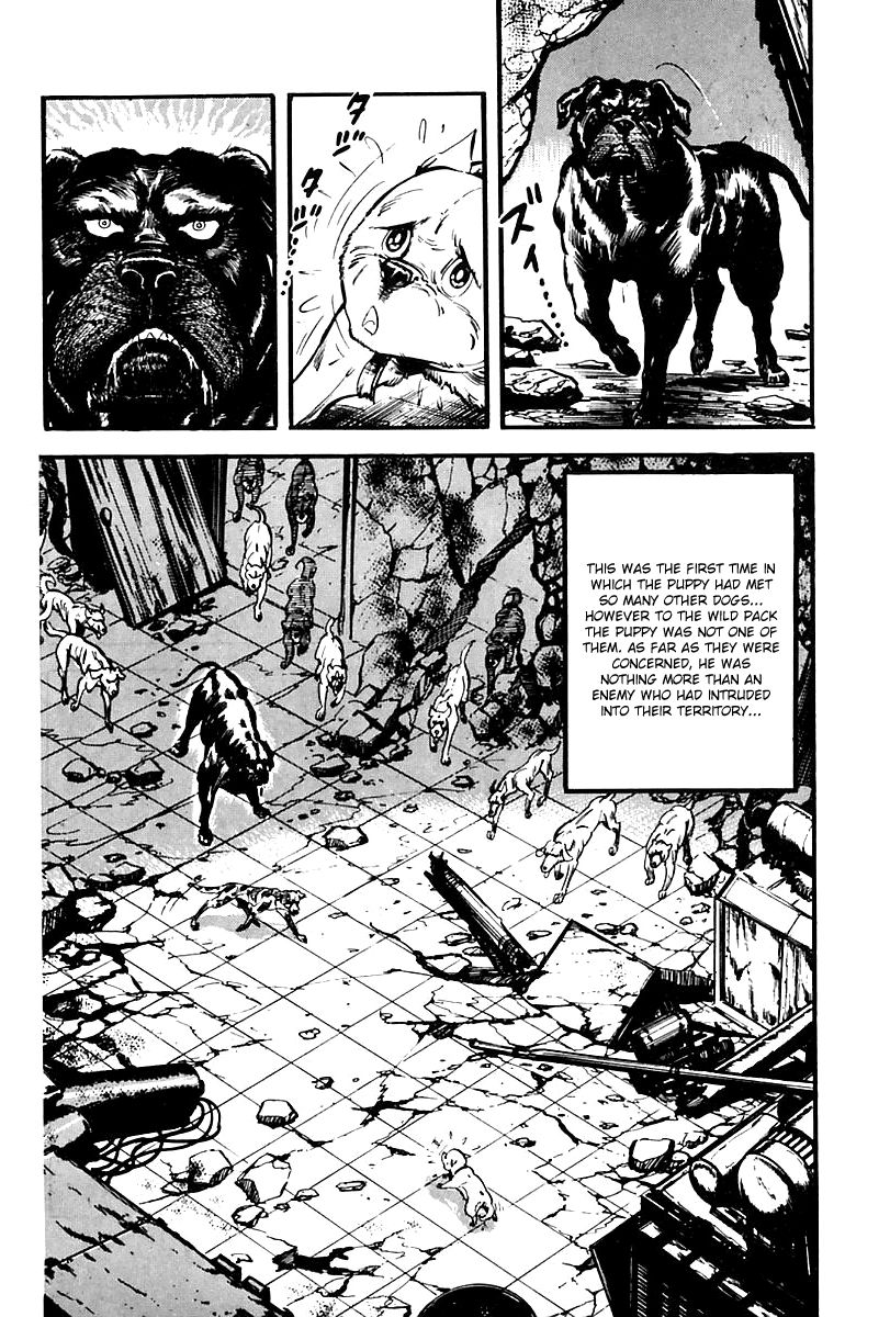 Survival Chapter 65 page 35 - Chapter 65 : Danger 1