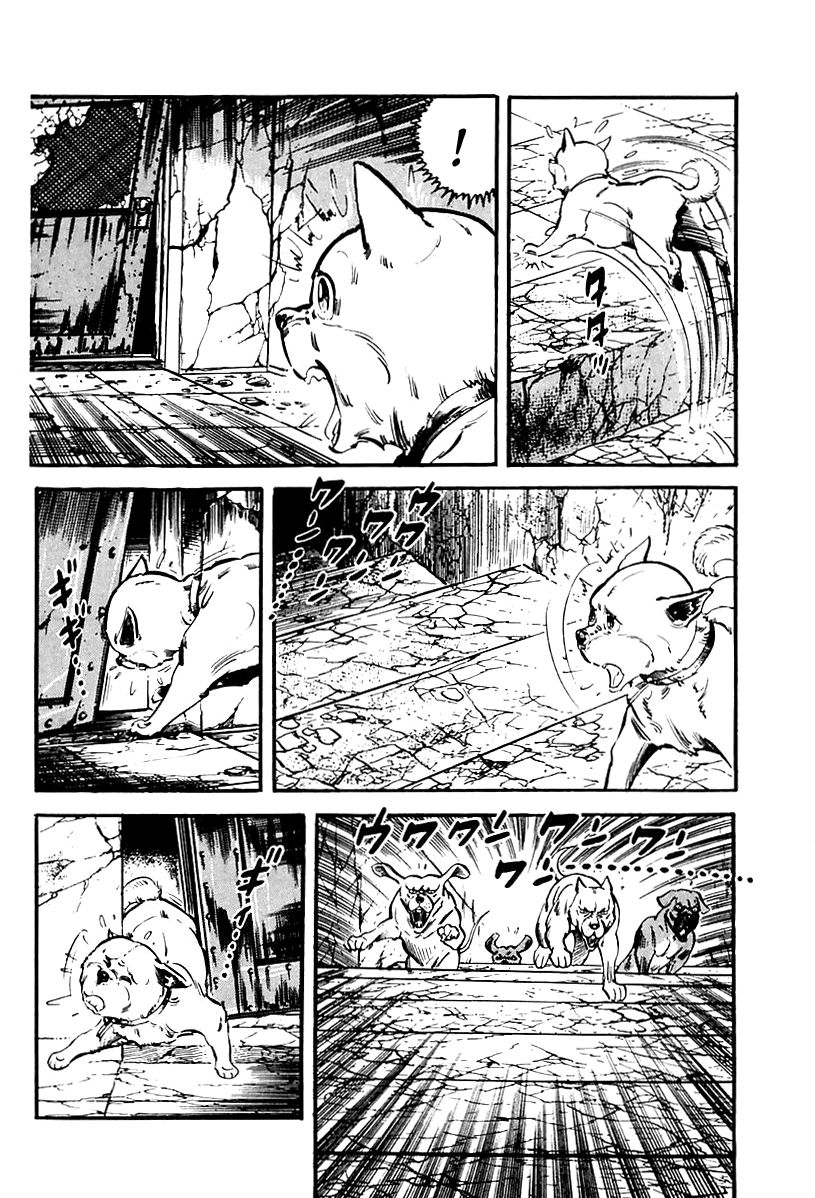 Survival Chapter 65 page 41 - Chapter 65 : Danger 1
