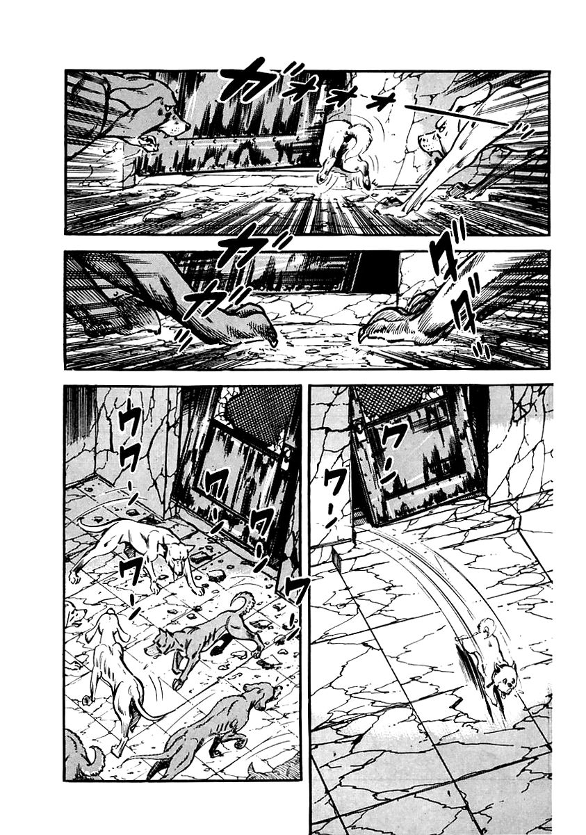 Survival Chapter 65 page 42 - Chapter 65 : Danger 1