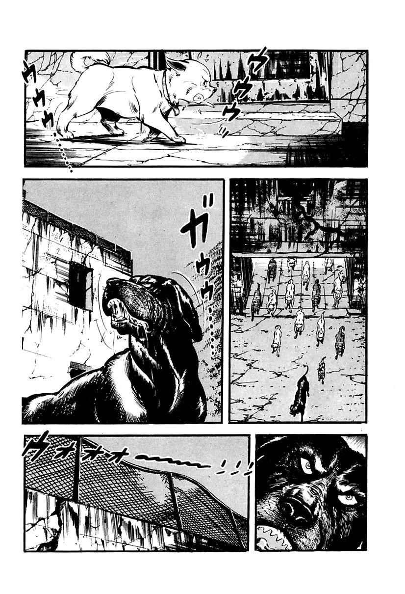 Survival Chapter 65 page 47 - Chapter 65 : Danger 1