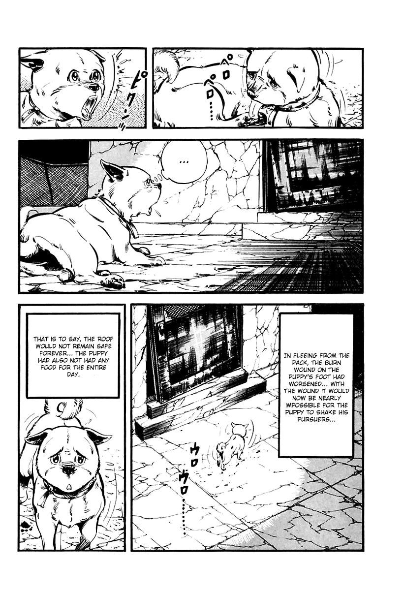 Survival Chapter 65 page 49 - Chapter 65 : Danger 1