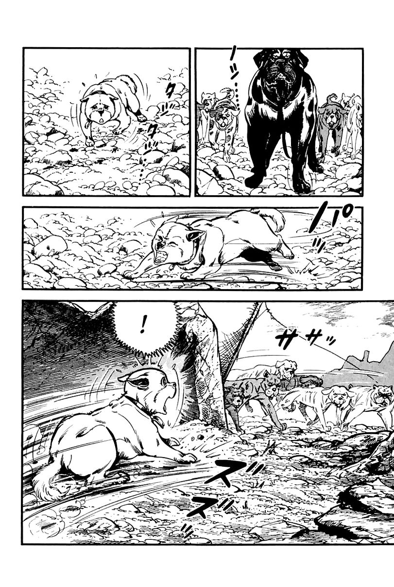 Survival Chapter 65 page 57 - Chapter 65 : Danger 1