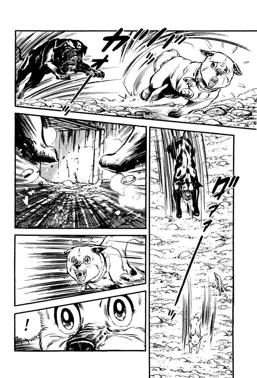 Survival Chapter 65 page 59 - Chapter 65 : Danger 1