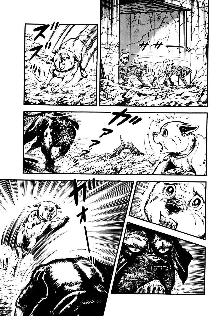 Survival Chapter 65 page 60 - Chapter 65 : Danger 1