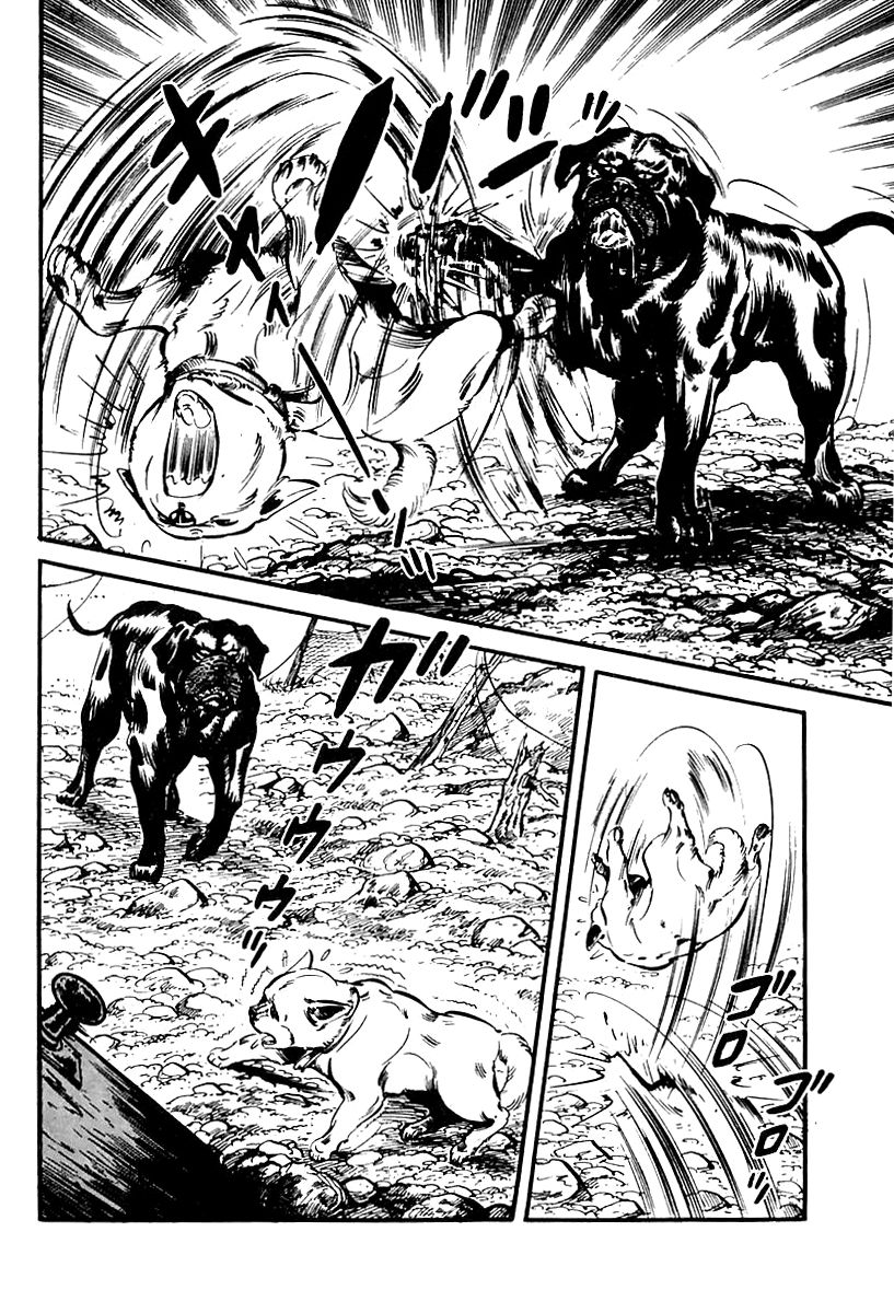 Survival Chapter 65 page 61 - Chapter 65 : Danger 1