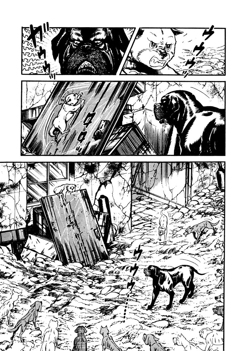 Survival Chapter 65 page 62 - Chapter 65 : Danger 1