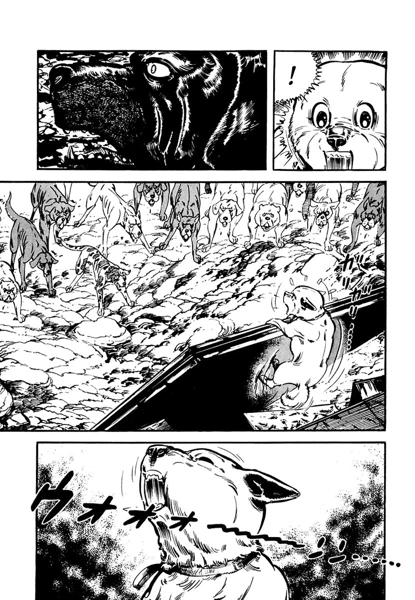 Survival Chapter 65 page 66 - Chapter 65 : Danger 1