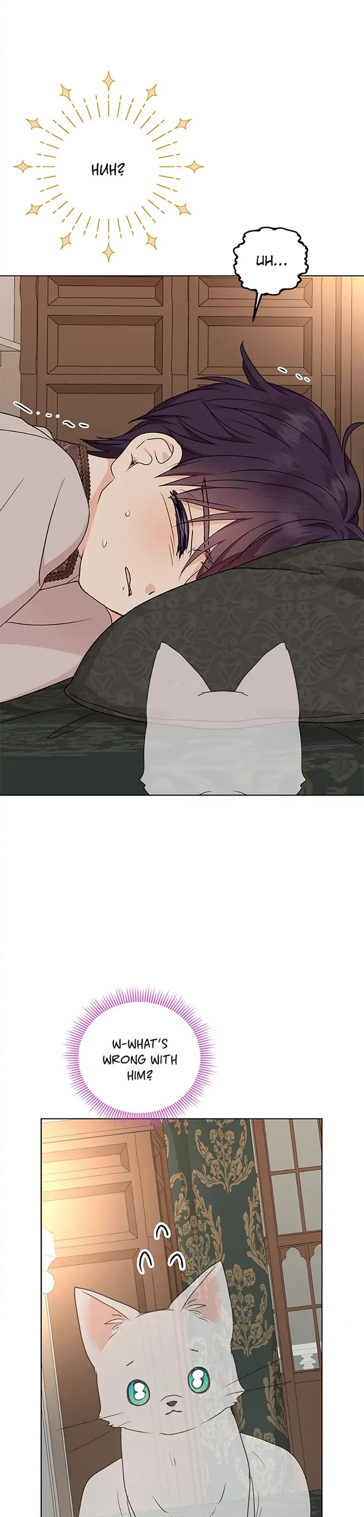 Surviving as an Illegitimate Princess Chapter 45 page 17 - Chapter 45: Season 1 Finale