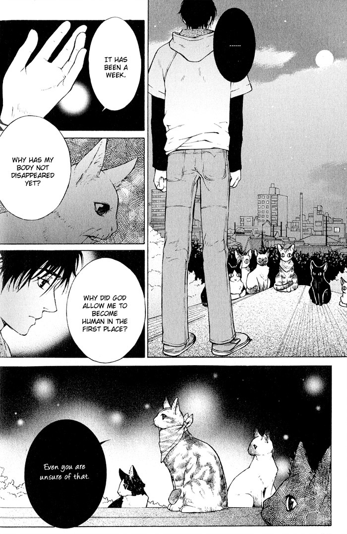 Suzu no Ne ga Kikoeru Chapter 2 page 28 - Chapter 2: The Cat's Love