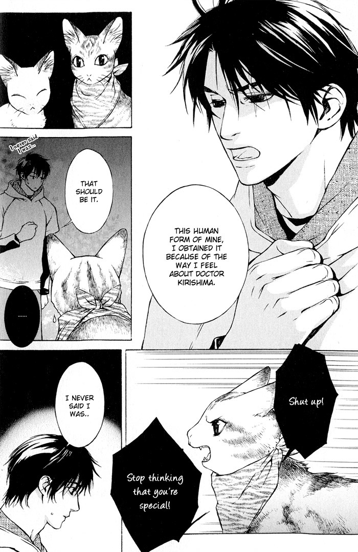 Suzu no Ne ga Kikoeru Chapter 2 page 30 - Chapter 2: The Cat's Love