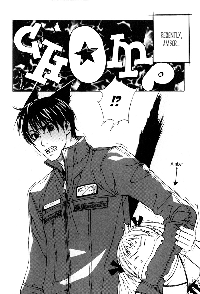 Suzu no Ne ga Kikoeru Chapter 5 page 10 - Chapter 5: Amber's Diary