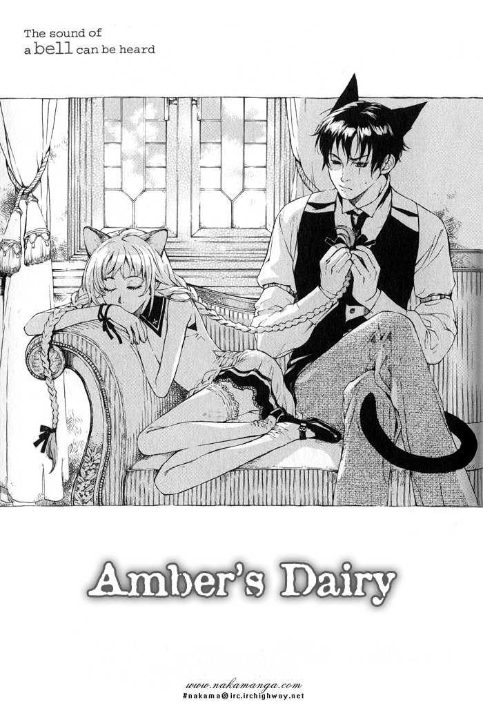 Suzu no Ne ga Kikoeru Chapter 5 page 9 - Chapter 5: Amber's Diary