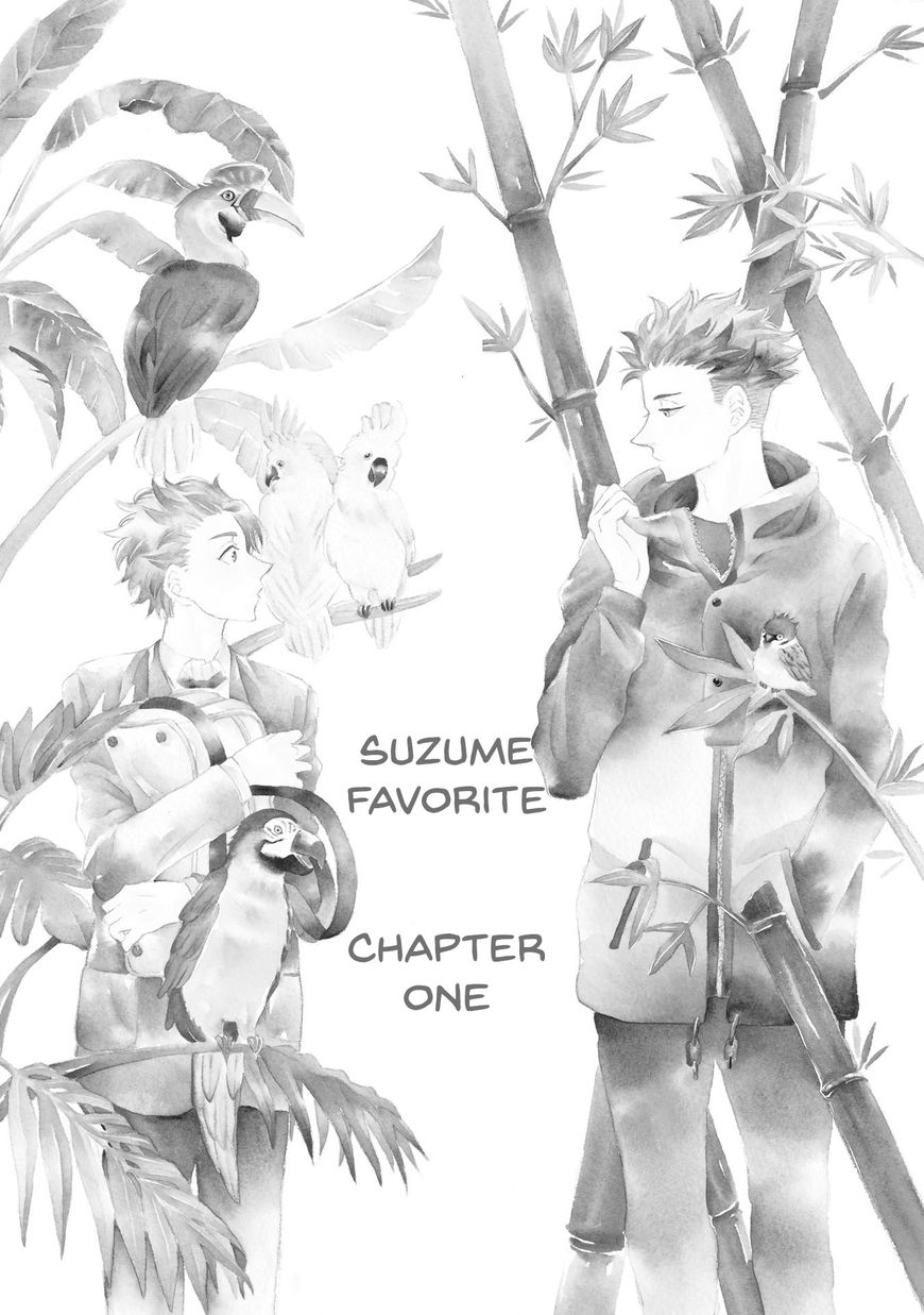 Suzume Favorite Chapter 1 page 13 - Chapter 1