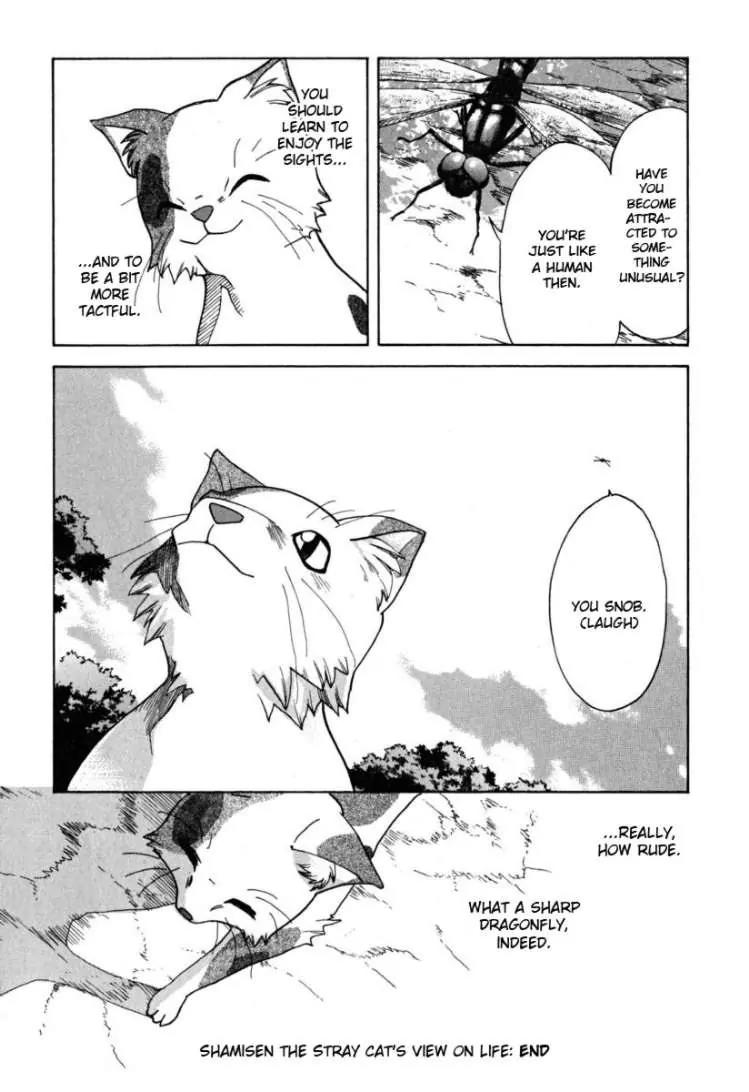 Suzumiya Haruhi no Yuuutsu Chapter 22 page 12 - Chapter 22: A Perspective on Life from Shamisen the Stray