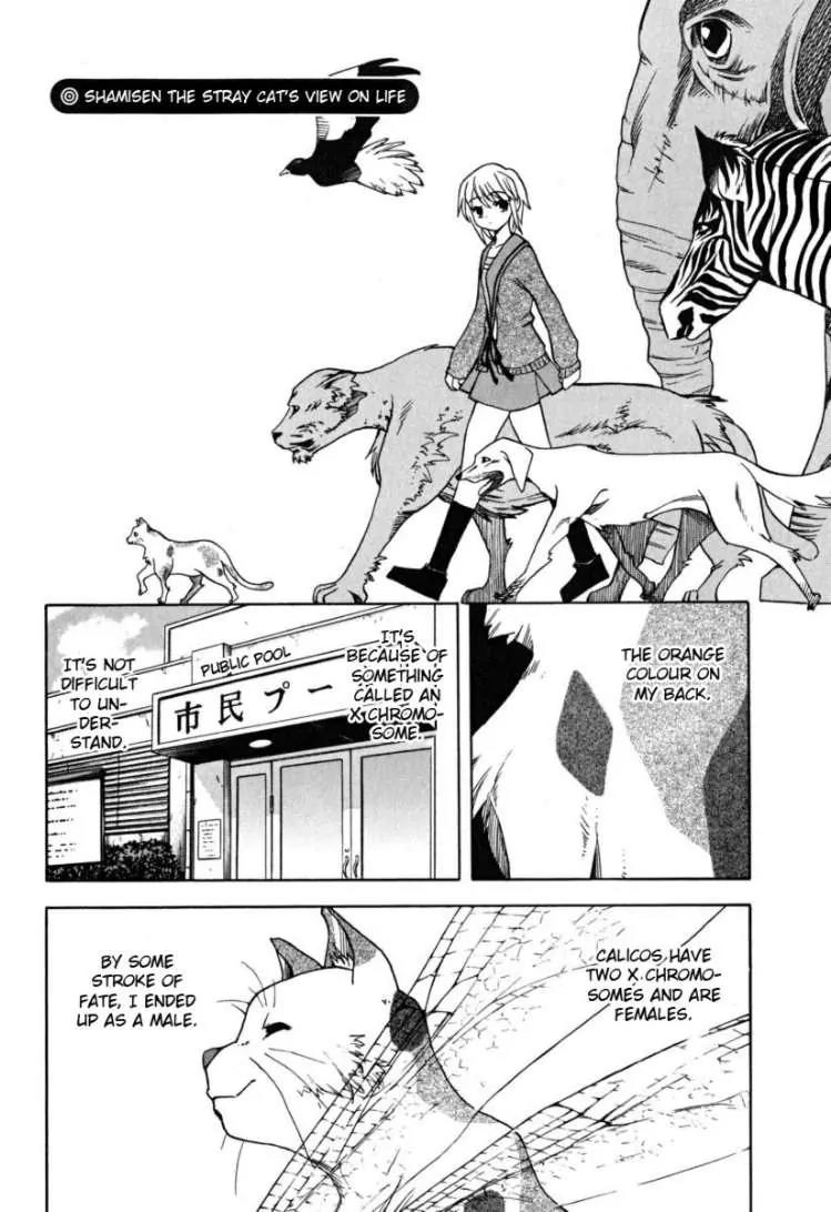 Suzumiya Haruhi no Yuuutsu Chapter 22 page 2 - Chapter 22: A Perspective on Life from Shamisen the Stray