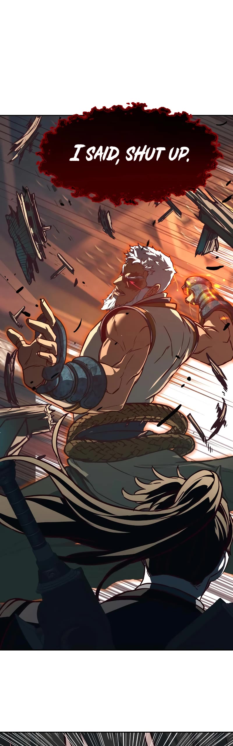 Sword Fanatic Wanders Through The Night Chapter 110 page 25 - Chapter 110