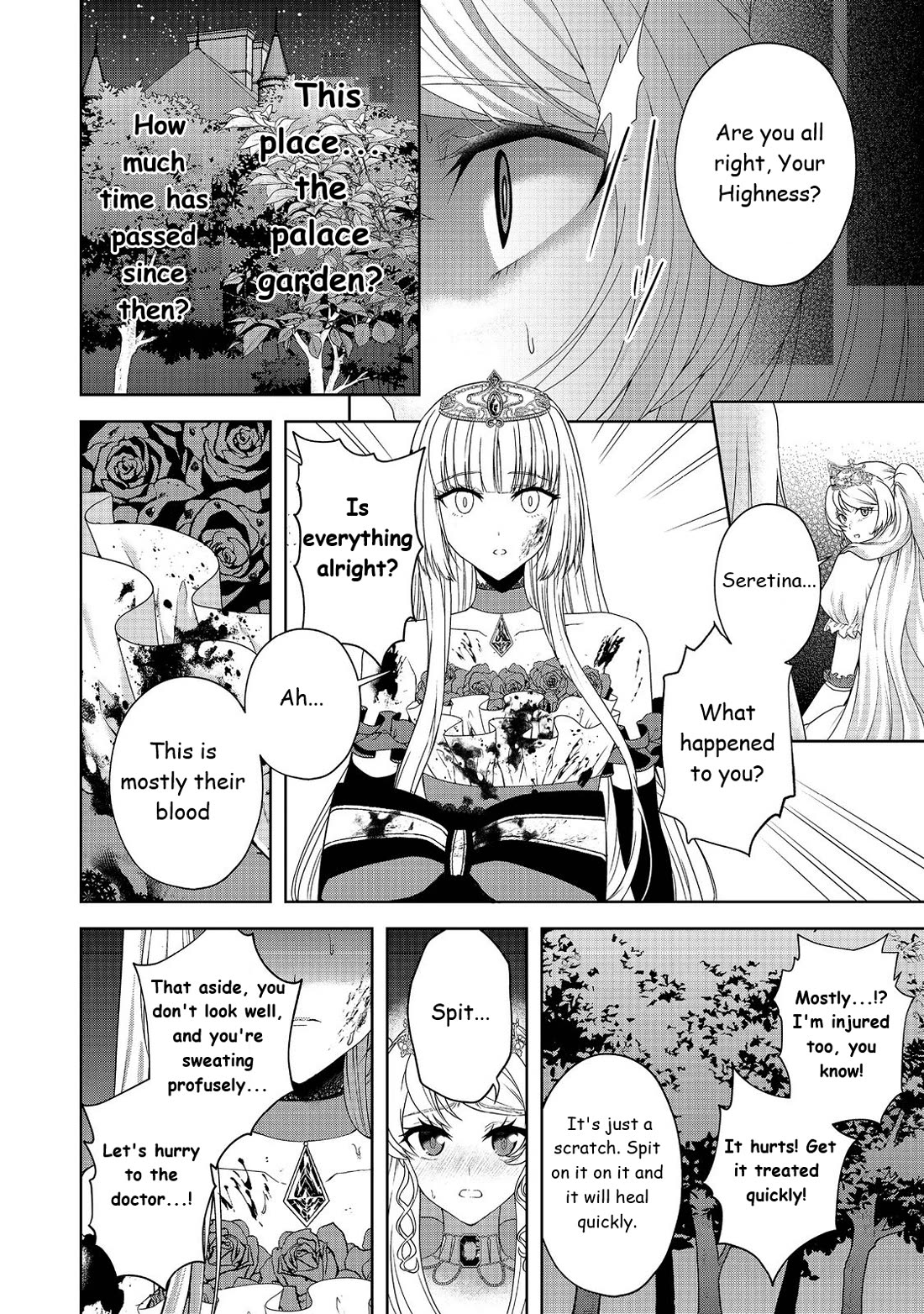 Sword, Tiara and High Heels Chapter 12 page 13 - Chapter 12