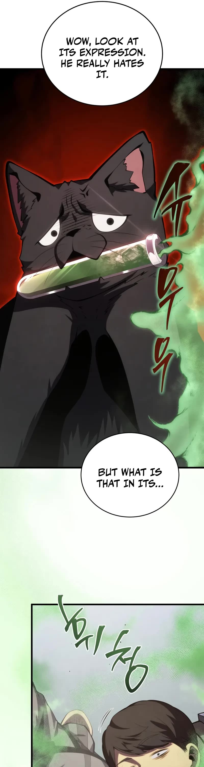 Swordmaster’s Youngest Son Chapter 166 page 17 - Chapter 166