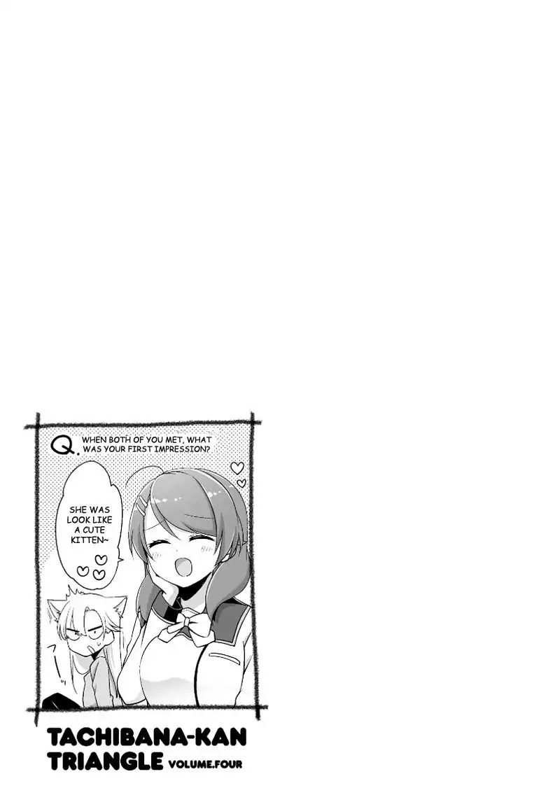 Tachibanakan Triangle Chapter 12 page 41 - Chapter 12