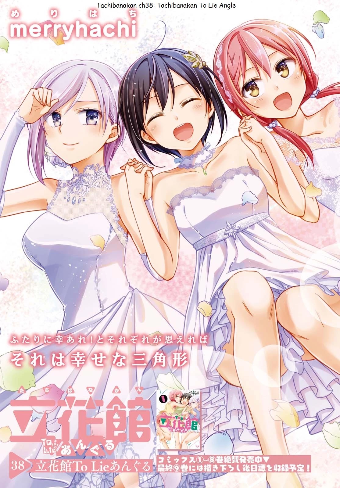 Tachibanakan Triangle Chapter 38 page 3 - Chapter 38: Tachibanakan To Lie Angle [END]